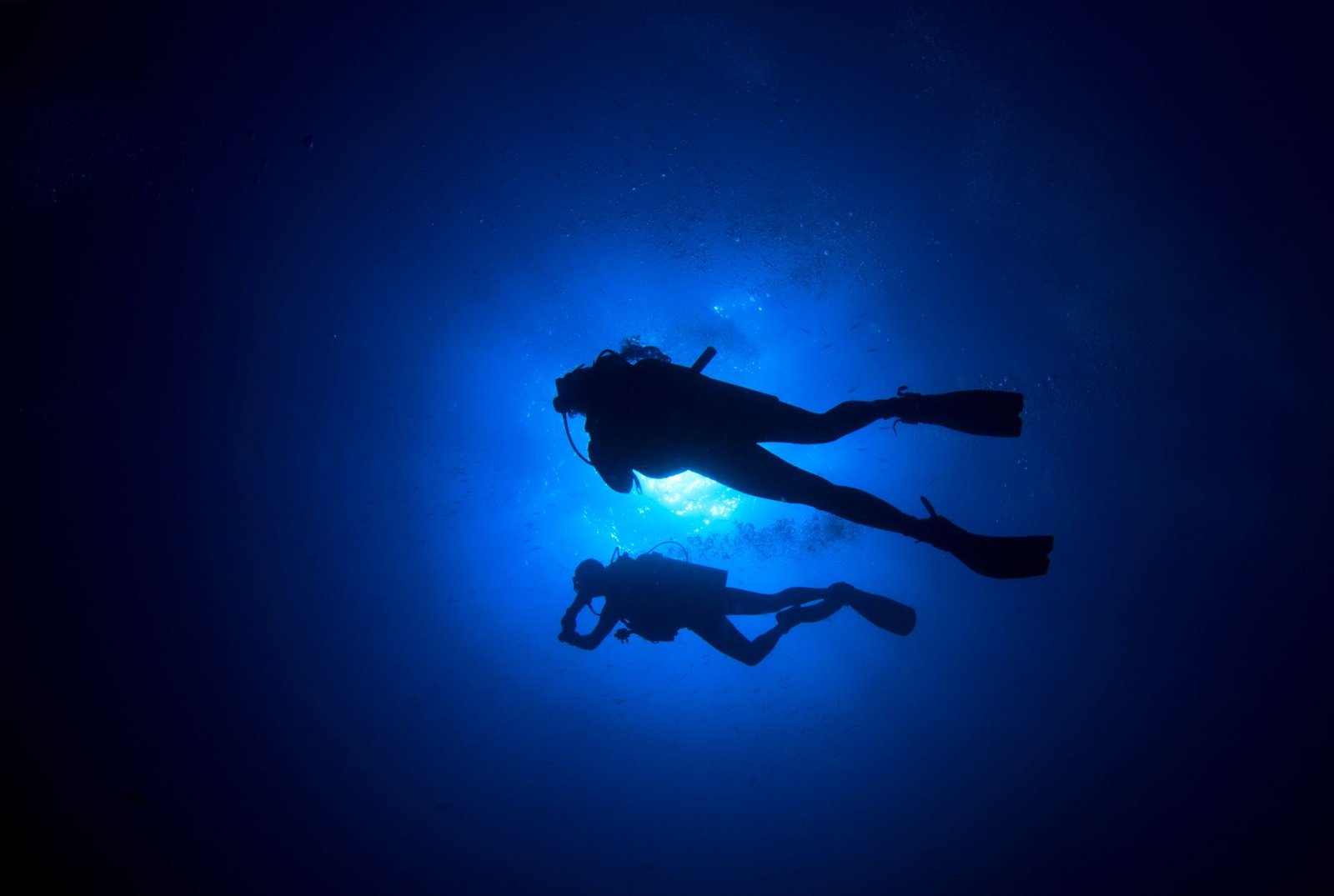 buceo nocturno